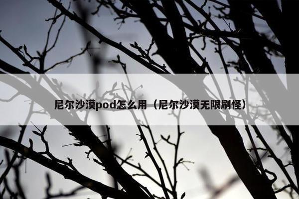 尼尔沙漠pod怎么用（尼尔沙漠无限刷怪）