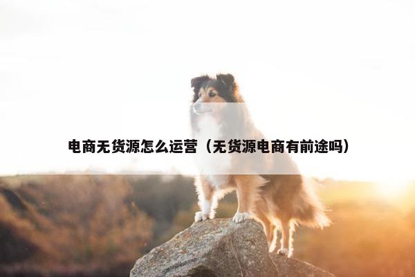 电商无货源怎么运营（无货源电商有前途吗）