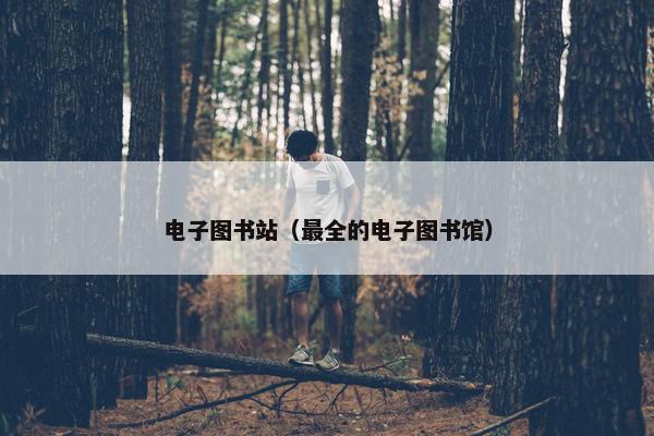 电子图书站（最全的电子图书馆）