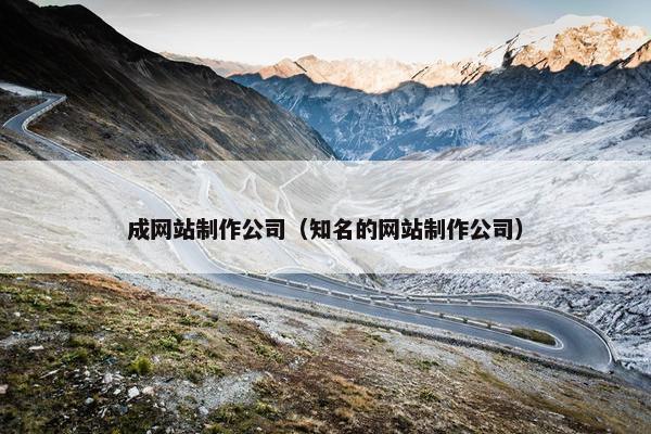 成网站制作公司（知名的网站制作公司）