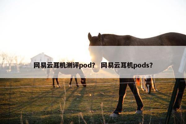 网易云耳机测评pod？ 网易云耳机pods？