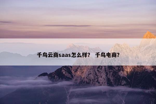 千鸟云商saas怎么样？ 千鸟电商？