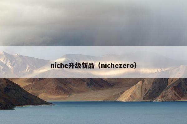 niche升级新品（nichezero）