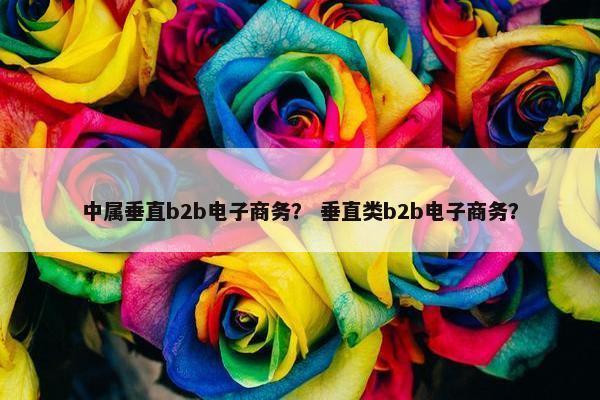 中属垂直b2b电子商务？ 垂直类b2b电子商务？