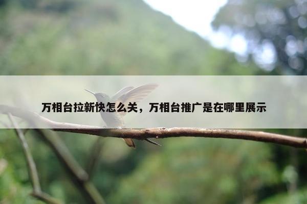 万相台拉新快怎么关，万相台推广是在哪里展示