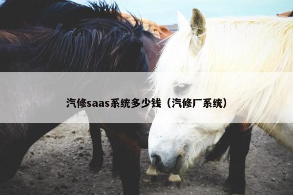汽修saas系统多少钱（汽修厂系统）