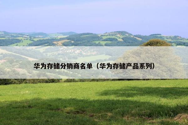 华为存储分销商名单（华为存储产品系列）