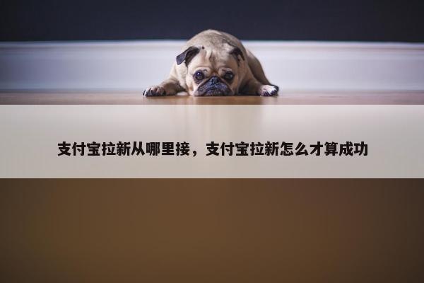 支付宝拉新从哪里接，支付宝拉新怎么才算成功
