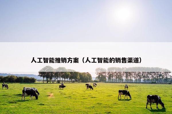 人工智能推销方案（人工智能的销售渠道）