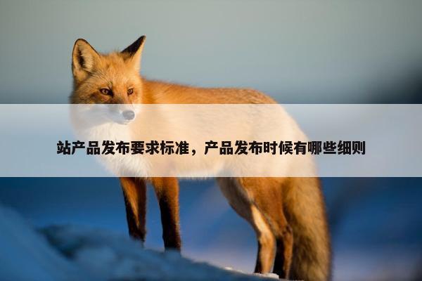 站产品发布要求标准，产品发布时候有哪些细则