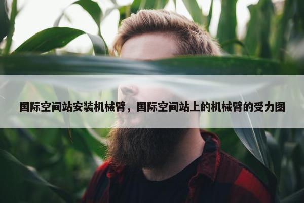 国际空间站安装机械臂，国际空间站上的机械臂的受力图