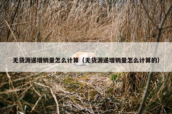 无货源递增销量怎么计算（无货源递增销量怎么计算的）