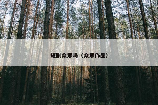 短剧众筹吗（众筹作品）