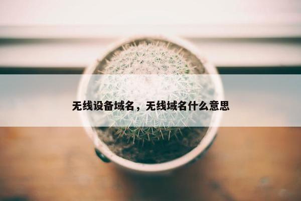 无线设备域名，无线域名什么意思