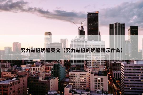 努力站桩奶酪英文（努力站桩的奶酪暗示什么）