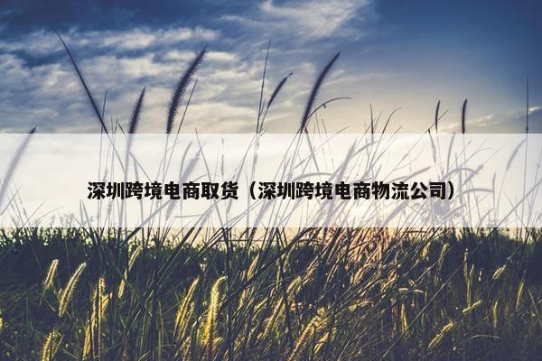 深圳跨境电商取货（深圳跨境电商物流公司）