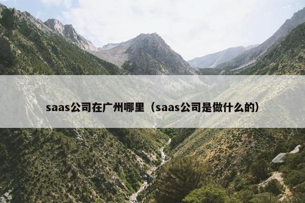 saas公司在广州哪里（saas公司是做什么的）