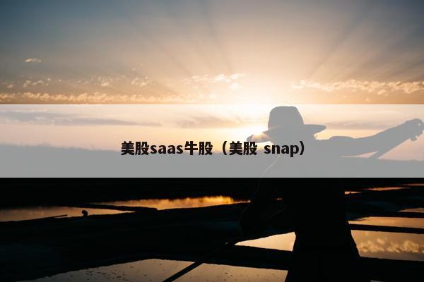 美股saas牛股（美股 snap）