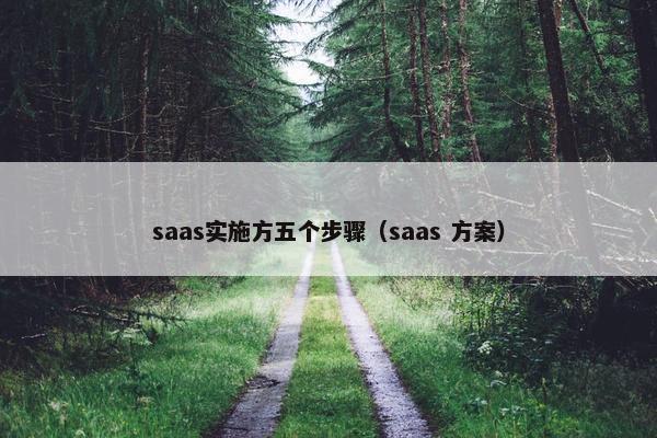 saas实施方五个步骤（saas 方案）