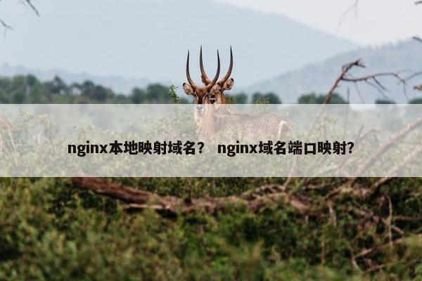 nginx本地映射域名？ nginx域名端口映射？