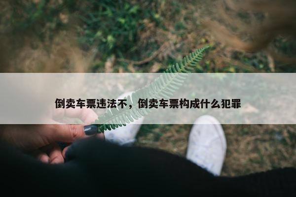 倒卖车票违法不，倒卖车票构成什么犯罪
