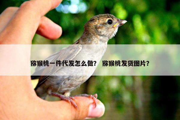 猕猴桃一件代发怎么做？ 猕猴桃发货图片？