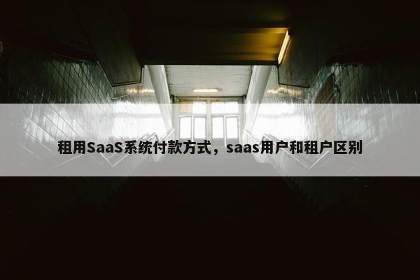 租用SaaS系统付款方式，saas用户和租户区别