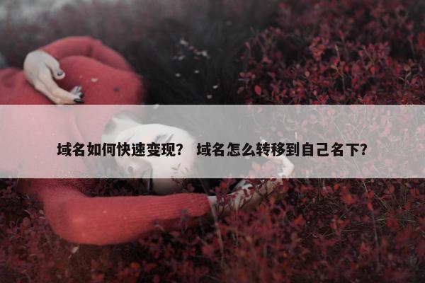 域名如何快速变现？ 域名怎么转移到自己名下？
