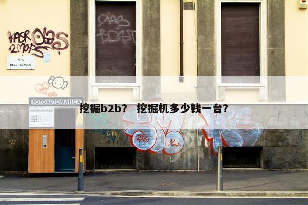 挖掘b2b？ 挖掘机多少钱一台？