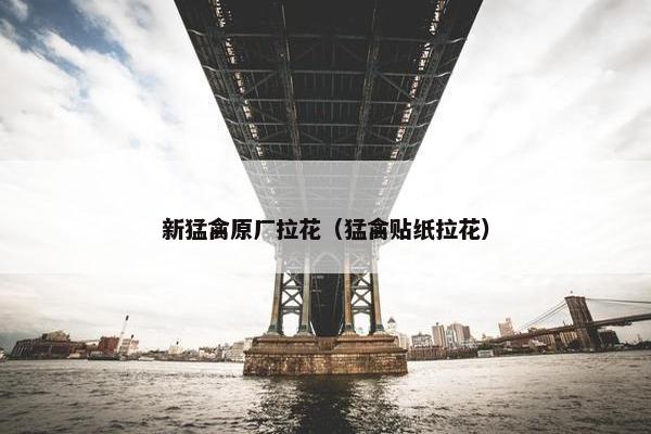 新猛禽原厂拉花（猛禽贴纸拉花）