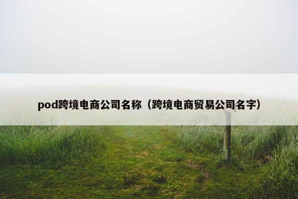 pod跨境电商公司名称（跨境电商贸易公司名字）