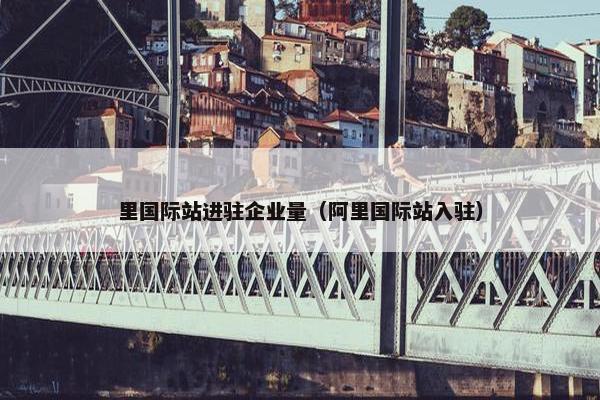里国际站进驻企业量（阿里国际站入驻）