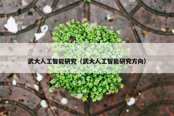 武大人工智能研究（武大人工智能研究方向）