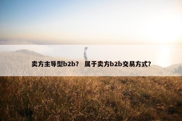 卖方主导型b2b？ 属于卖方b2b交易方式？
