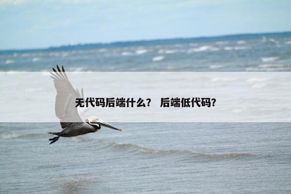 无代码后端什么？ 后端低代码？