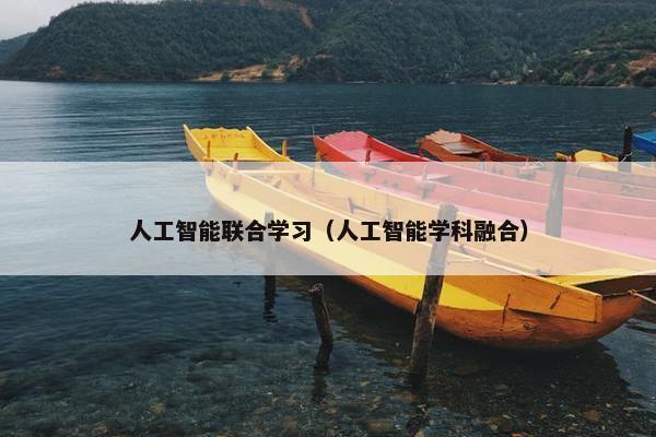 人工智能联合学习（人工智能学科融合）