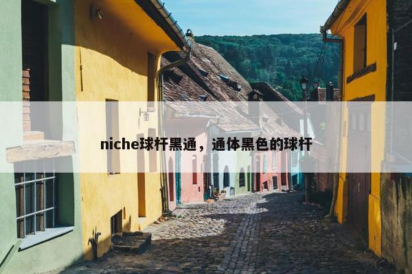 niche球杆黑通，通体黑色的球杆