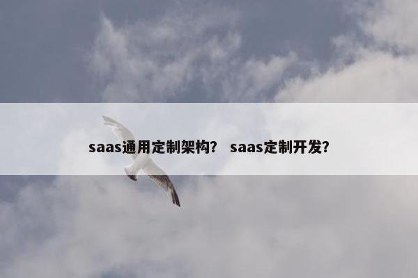 saas通用定制架构？ saas定制开发？