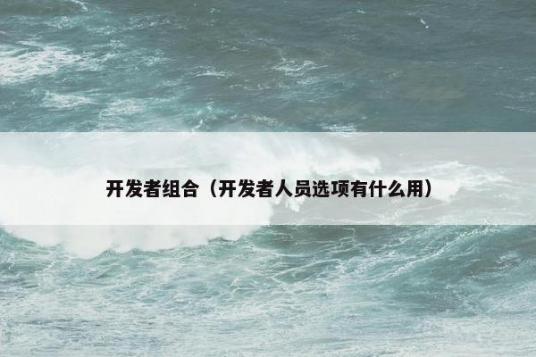 开发者组合（开发者人员选项有什么用）