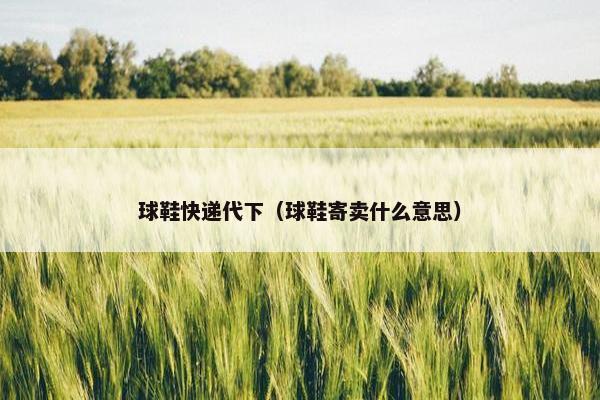 球鞋快递代下（球鞋寄卖什么意思）