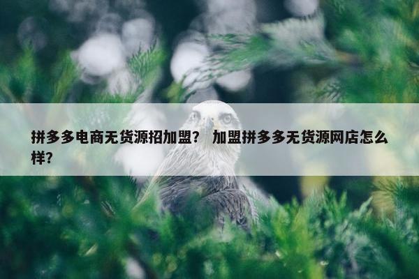 拼多多电商无货源招加盟？ 加盟拼多多无货源网店怎么样？