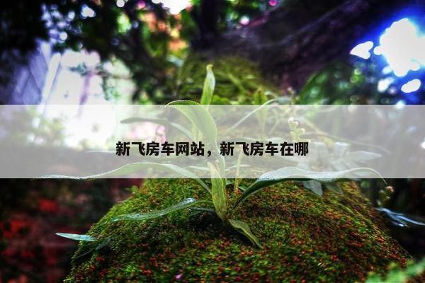 新飞房车网站，新飞房车在哪