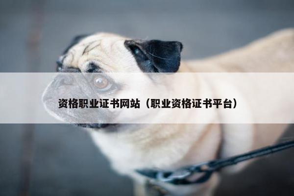 资格职业证书网站（职业资格证书平台）