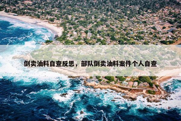 倒卖油料自查反思，部队倒卖油料案件个人自查