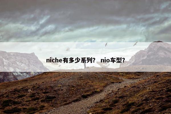 niche有多少系列？ nio车型？
