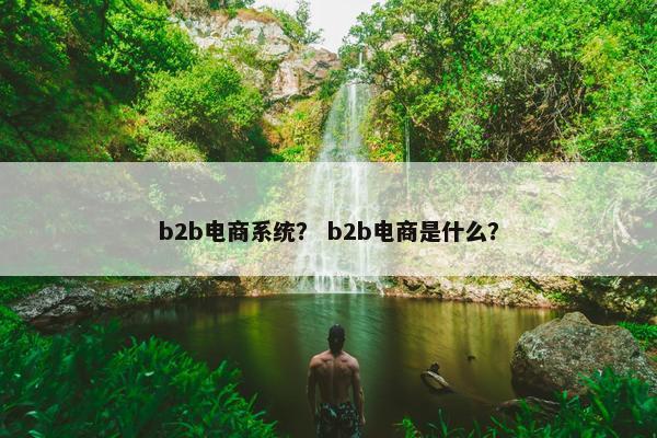 b2b电商系统？ b2b电商是什么？