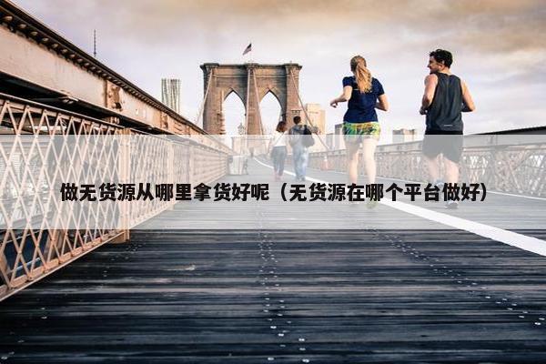 做无货源从哪里拿货好呢（无货源在哪个平台做好）