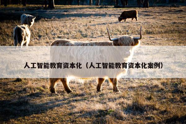 人工智能教育资本化（人工智能教育资本化案例）