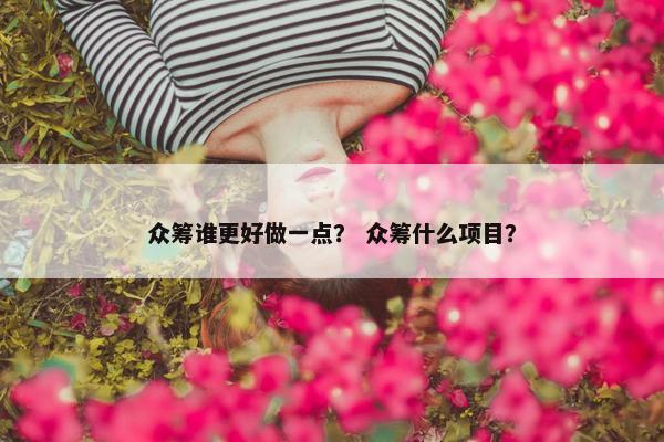 众筹谁更好做一点？ 众筹什么项目？