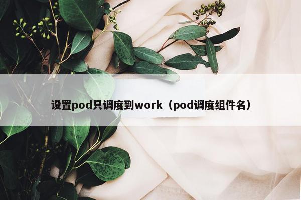 设置pod只调度到work（pod调度组件名）